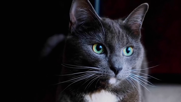 Vmake Noise Removal Test After