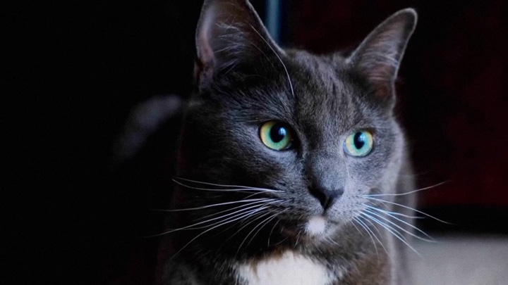 Vmake Noise Removal Test Before