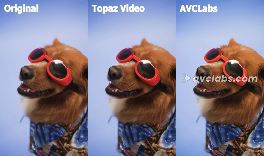 Video upscaling test 28 - AVCLabs vs Topaz