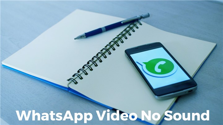 How to Fix WhatsApp Video No Sound