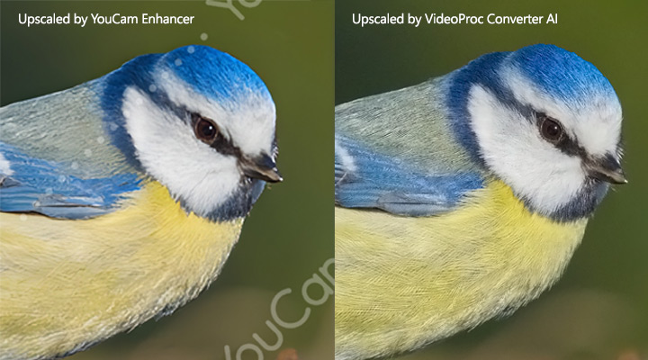 YouCam Enhance vs VideoProc Photo Enhancement Test