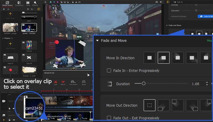 Add Animation to PiP