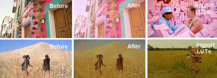 LUTs for various looks