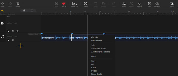 Delete Unwanted Audio
