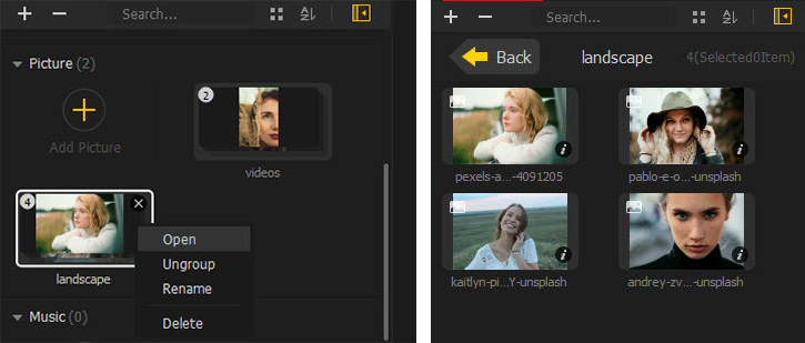 Manage Picture Group in Media Library
