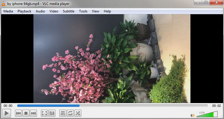 How to create Animated GIF from a video file using VLC and GIMP