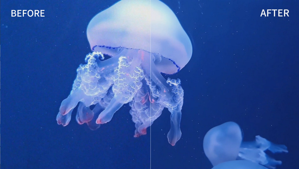 AI video denoising Showcase
