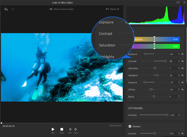 Color Correct Underwater Video