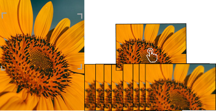 Intelligent image scaling algorithm