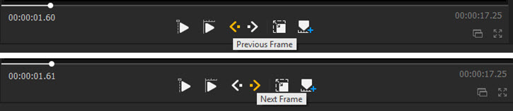 View video frame by frame