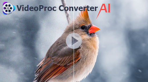 Video About How to Download a Video With VideoProc Converter AI